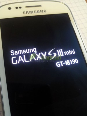 GalaxyS-III-Mini-2